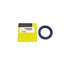oil seal